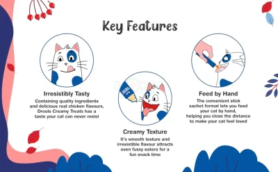 Drools Creamy Cat treat price