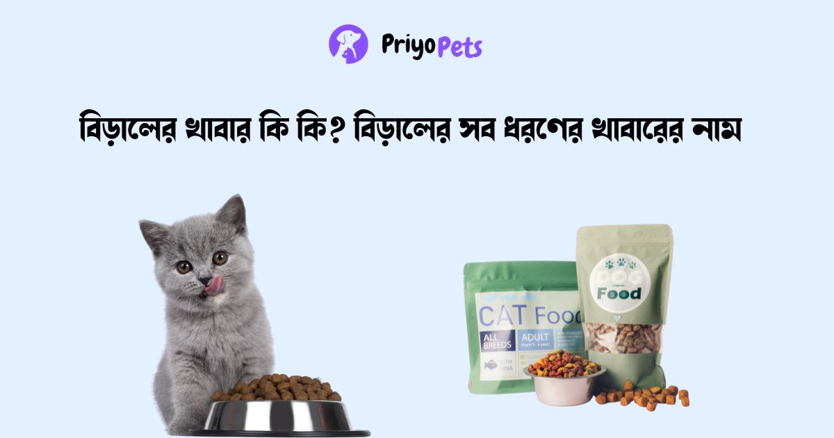বিড়ালের খাবার কি কি? বিড়ালের খাবারের নাম 