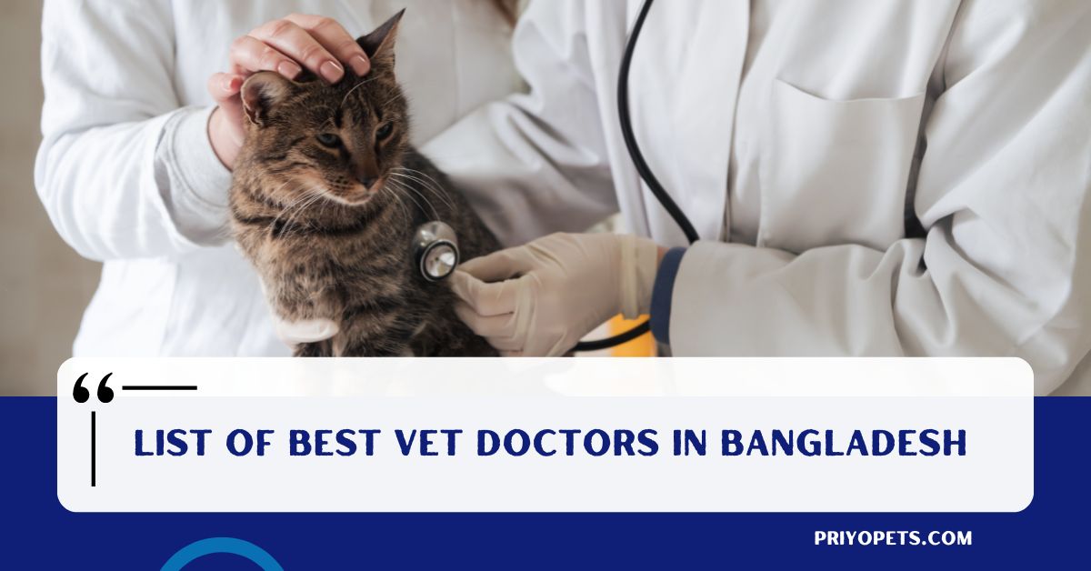 Vet Doctor List: Best Vet in Bangladesh | Contact List 