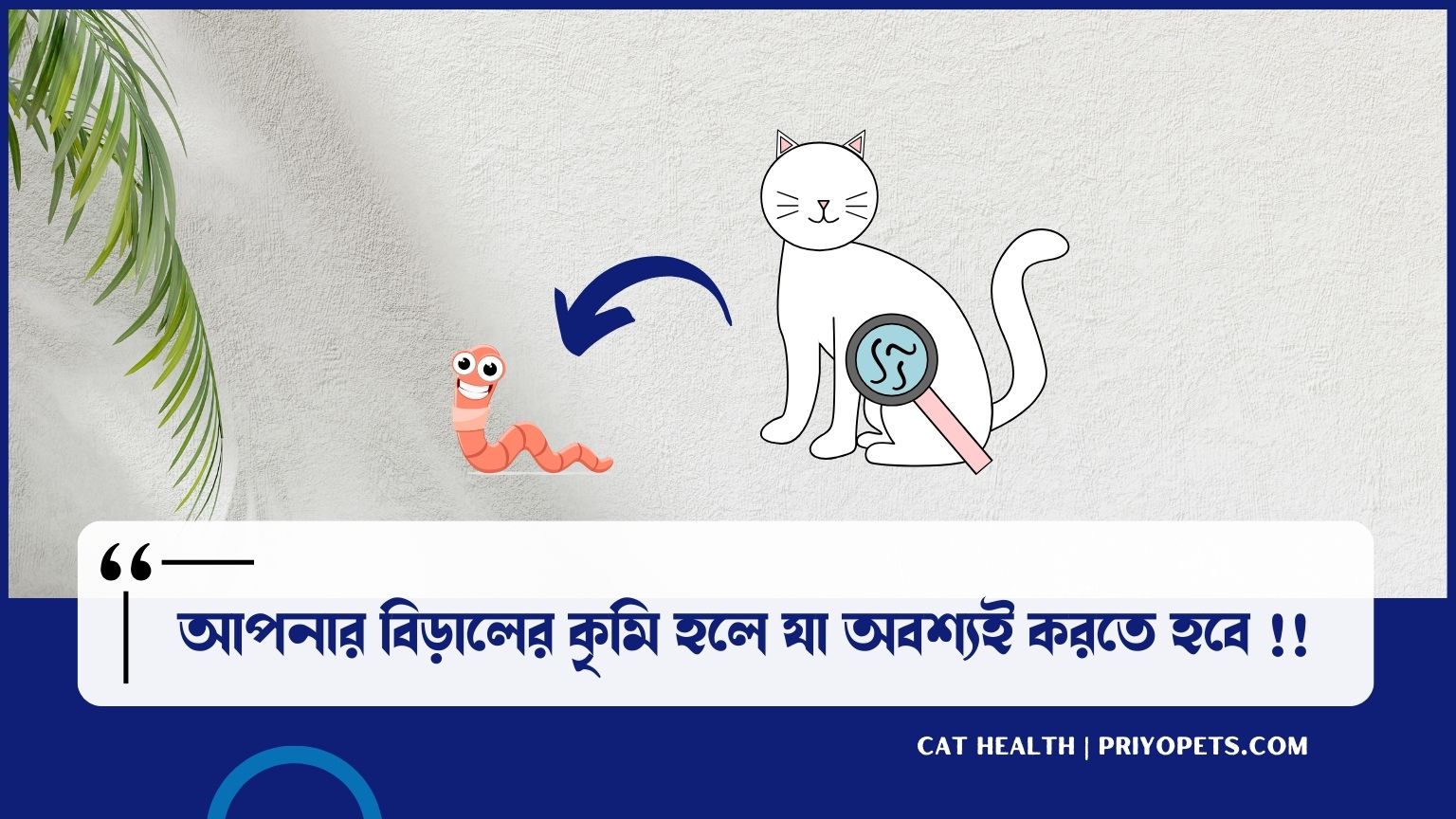 বিড়ালের কৃমি হলে করনীয় কি? বিড়ালের কৃমি হয়েছে কিনা যেভাবে বুজবেন 