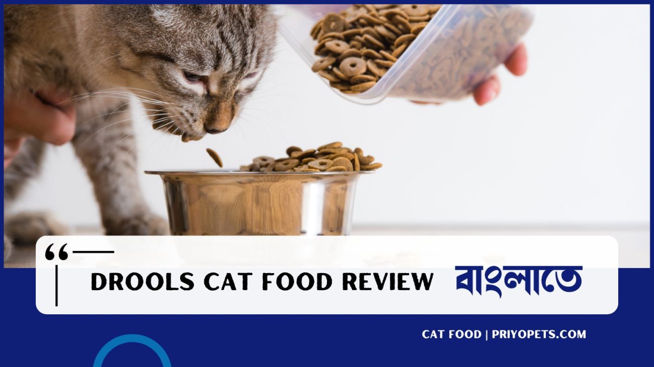 Drools cat food review in Bangla