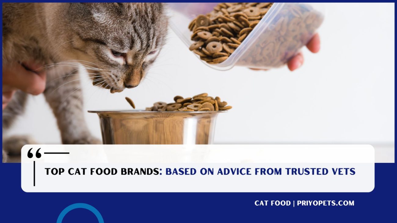 Top Cat Food Brands: Based on Advice from Trusted Vets 