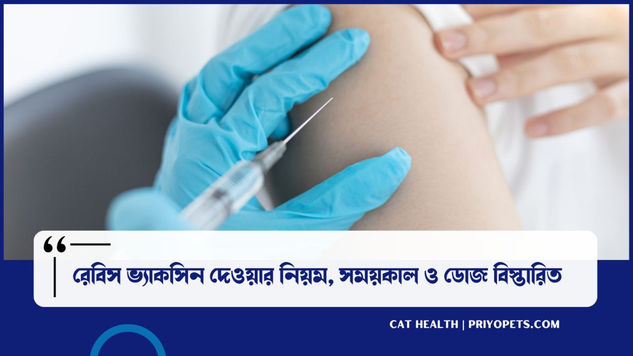রেবিস ভ্যাকসিন দেওয়ার নিয়ম