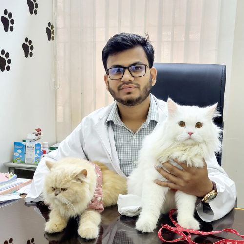 Dr. SHOFIQUL ISLAM